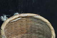 ツートンの色合いが素敵な魚籠(びく) DC7867