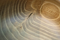 優美な杢目で温かみのある碁笥 DC7918 在庫2個