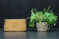 木地の優しい風合いに味わい溢れる一升マス DC7923