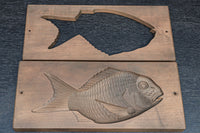 Antique tools DC7928b