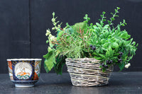 色鮮やかな絵柄が魅力の古伊万里の向付 DC7935 在庫15個