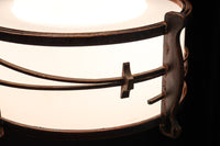 松葉の装飾で雅な面持ちある電笠 DC7957a