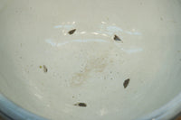 温かみ風合いが味わいある水鉢 DC8005ab 在庫(a:0 b:1)個