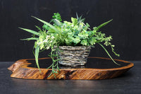 自然の風合いを残した切り株の敷板 DC8035