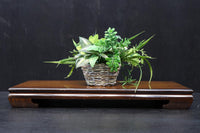 明るい色合いに優雅な杢目が浮かぶ置台 DC8058