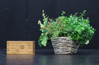 木地の優しい風合いに味わい溢れる角型マス DC8067