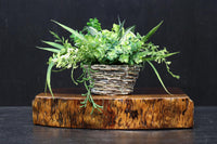 切株の雰囲気を残す厚みのある敷板 DC8079