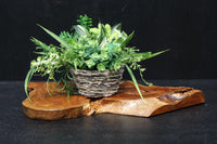 切株の自然な風合いを活かした敷板 DC8080