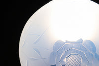 【ご精算用】オパールセントに大輪のお花の透かし模様が優雅に浮かぶ電笠 DC8146