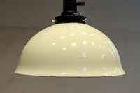 内面に花柄模様が描かれたノリタケの電笠 DC8148