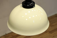 内面に花柄模様が描かれたノリタケの電笠 DC8148