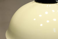 内面に花柄模様が描かれたノリタケの電笠 DC8148