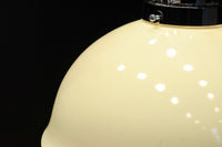 内面に花柄模様が描かれたノリタケの電笠 DC8148