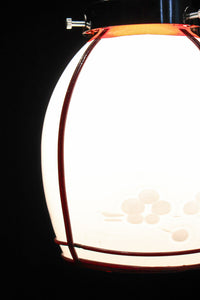 梅の花の透かし絵柄で風流な電笠 DC8152