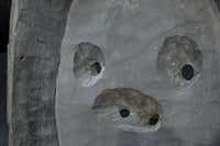 Antique tools DC8160