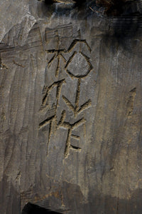 Antique tools DC8163