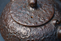 桜模様が浮かぶ小さな鉄瓶 DC8184