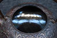 桜模様が浮かぶ小さな鉄瓶 DC8184