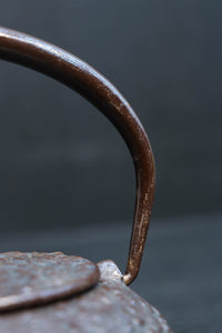 桜模様が浮かぶ小さな鉄瓶 DC8184