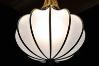 和の趣き溢れる鬼灯(ほおずき)型の房付き電笠 DC8192