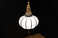 和の趣き溢れる鬼灯(ほおずき)型の房付き電笠 DC8192