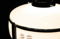 稲とトンボの透かし模様がほのかに浮かぶ電笠 DC8216