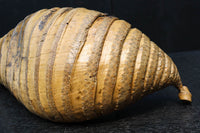 自然な竹の風合いある吊るし花器 DC8224