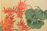 Antique tools DC8232