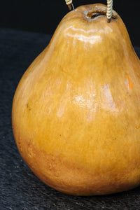 丸みがあり愛嬌あるふくべ細工のかぼちゃ型炭入れ DC8237