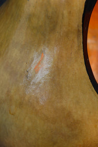 丸みがあり愛嬌あるふくべ細工のかぼちゃ型炭入れ DC8237