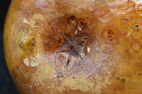 丸みがあり愛嬌あるふくべ細工のかぼちゃ型炭入れ DC8237