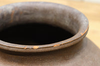 小振りサイズ!! 丸みのあるデザインが可愛らしいカメ DC8238