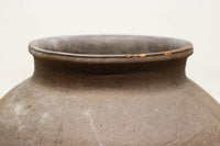 小振りサイズ!! 丸みのあるデザインが可愛らしいカメ DC8238