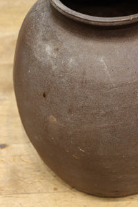 小振りサイズ!! 丸みのあるデザインが可愛らしいカメ DC8238