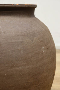 小振りサイズ!! 丸みのあるデザインが可愛らしいカメ DC8238