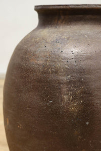 小振りサイズ!! 丸みのあるデザインが可愛らしいカメ DC8238