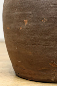 小振りサイズ!! 丸みのあるデザインが可愛らしいカメ DC8238