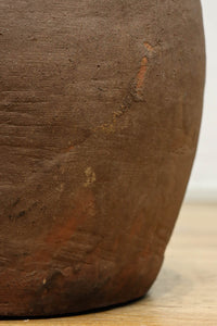 小振りサイズ!! 丸みのあるデザインが可愛らしいカメ DC8238