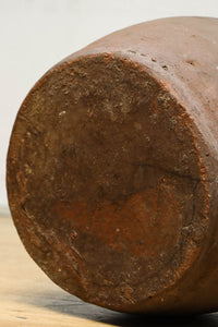 小振りサイズ!! 丸みのあるデザインが可愛らしいカメ DC8238