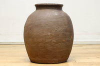 小振りサイズ!! 丸みのあるデザインが可愛らしいカメ DC8238