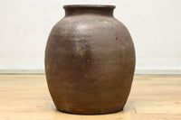 小振りサイズ!! 丸みのあるデザインが可愛らしいカメ DC8238