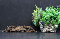 松と鶴の穏やかな風景を描いた小型彫刻飾り DC8259