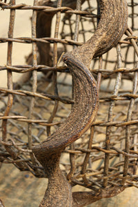 自然美を感じる古木のオブジェ DC8276