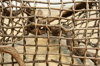 自然美を感じる古木のオブジェ DC8276