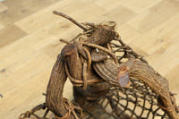 自然美を感じる古木のオブジェ DC8276