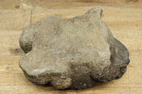 Antique Tools DC8329