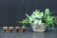 勇ましい表情に味わいが滲み出た小さな獅子の彫刻飾り DC8361 在庫4個