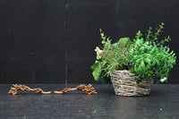 極小!! 可愛らしい梅の花が咲くとても小さな彫刻飾りセット DC8364 在庫2個一組