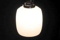 懐かし味を感じさせる樽型の電笠 DC8398