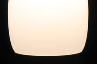 懐かし味を感じさせる樽型の電笠 DC8398